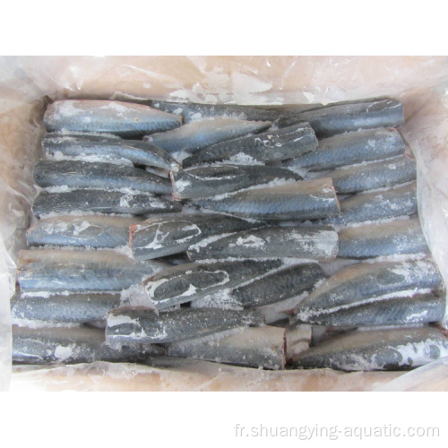 Frozen 150g HGT Pacific Mackerel Fish Guted